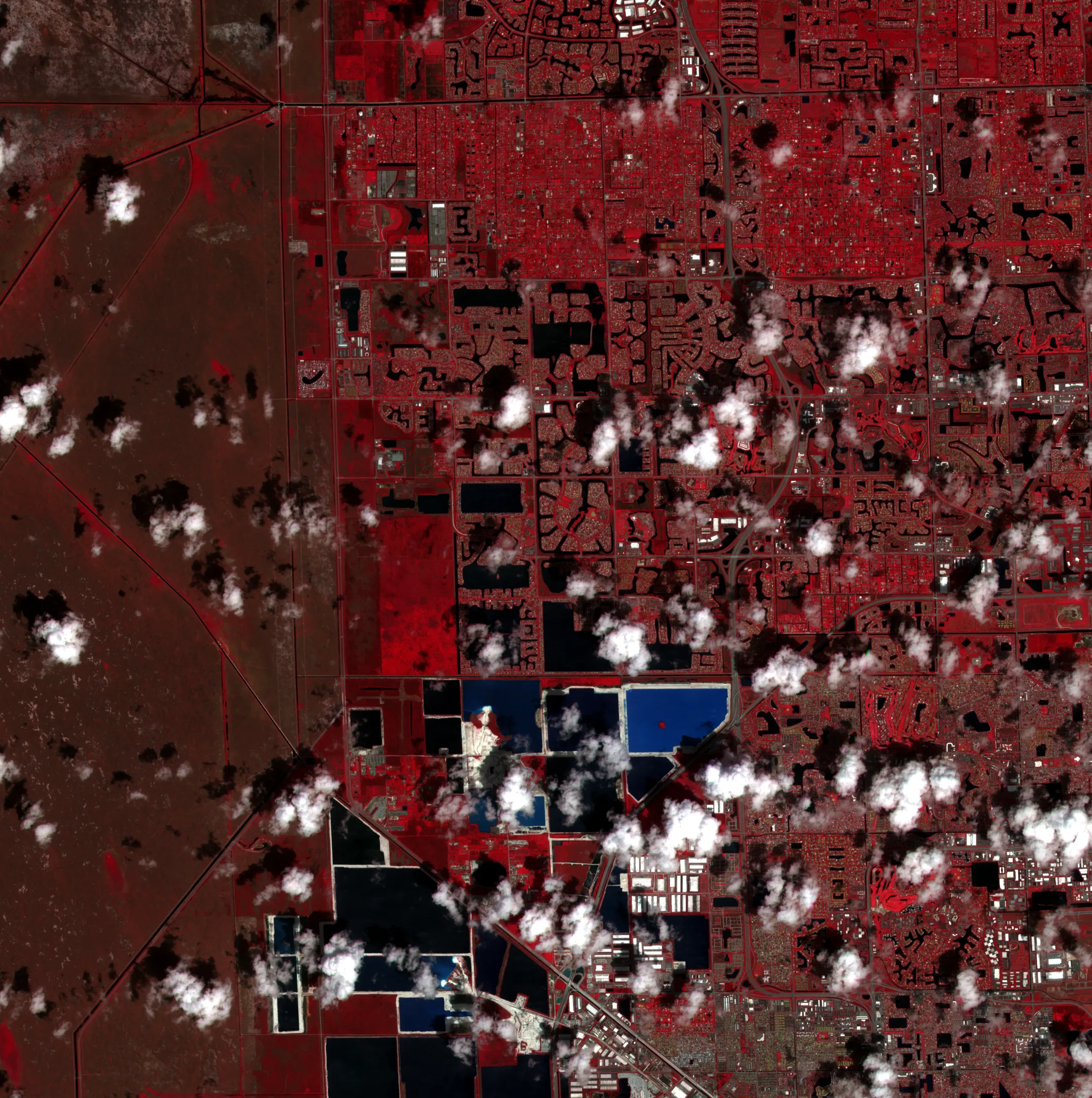 Two Sentinel-2 false-colour views of the same 22-kilometre square of western Broward County, Florida, five weeks apart. Near-infrared is shown as red, so suburban lawns and trees read bright red, water in canals and quarry lakes reads black or deep blue, and the Everglades marsh along the left edge reads dull brown. Scattered cumulus cloud and its shadows sit over both frames, heavier in May.
